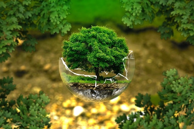 image montrant un arbre dans une boule de verre miniature