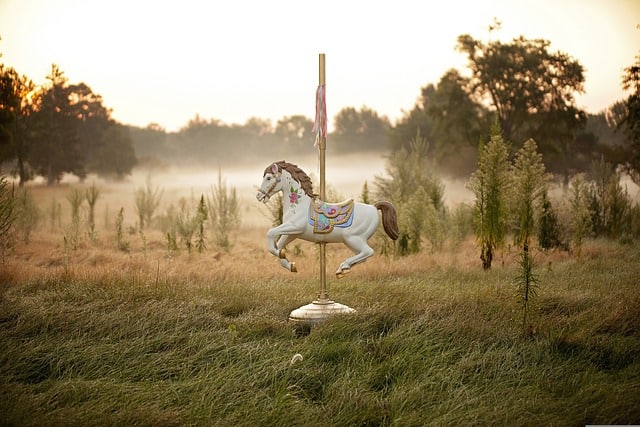 image d'un cheval de carrousel